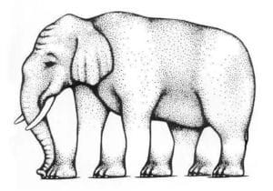 centre_for_sight_-_literal_optical_illusions_with_elephant_legs-300x210