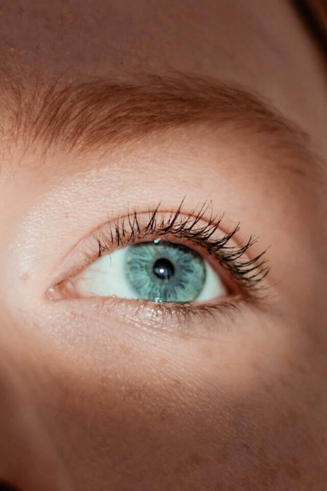 What is the difference between Dry and Wet AMD?